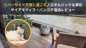 サイアモティフ・ブティック・ホテルのテラスと猫
